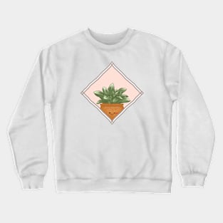 Haworthia Retusa in a Rectangle Frame Crewneck Sweatshirt